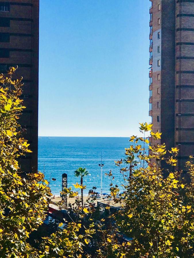 Cometa Center Benidorm Buitenkant foto